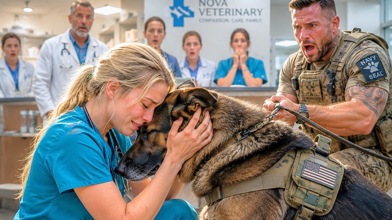 &ldquo;Don't Go Near Him&rdquo; The Retired SEAL Smirked&mdash;Until His Military K9 Sat Beside The Nurse