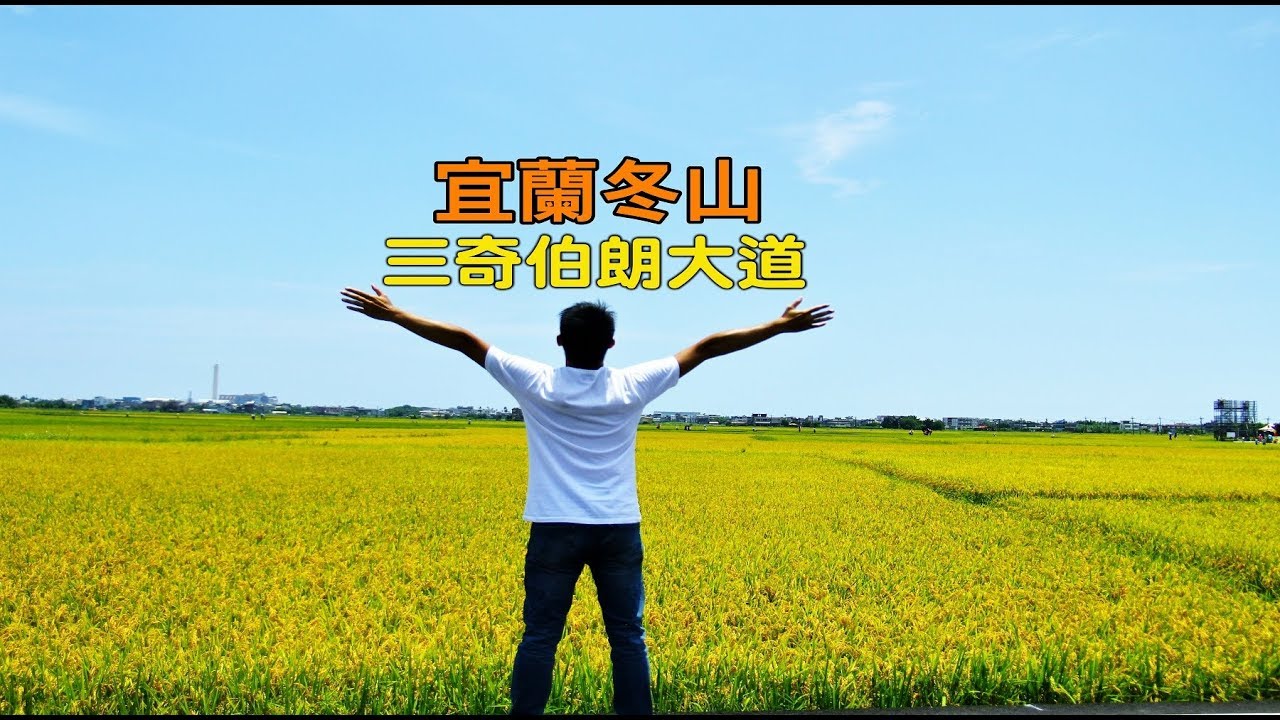 [宜蘭旅遊景點] 冬山三奇伯朗大道熱門拍照打卡景點，季節限定美景金黃色稻田
