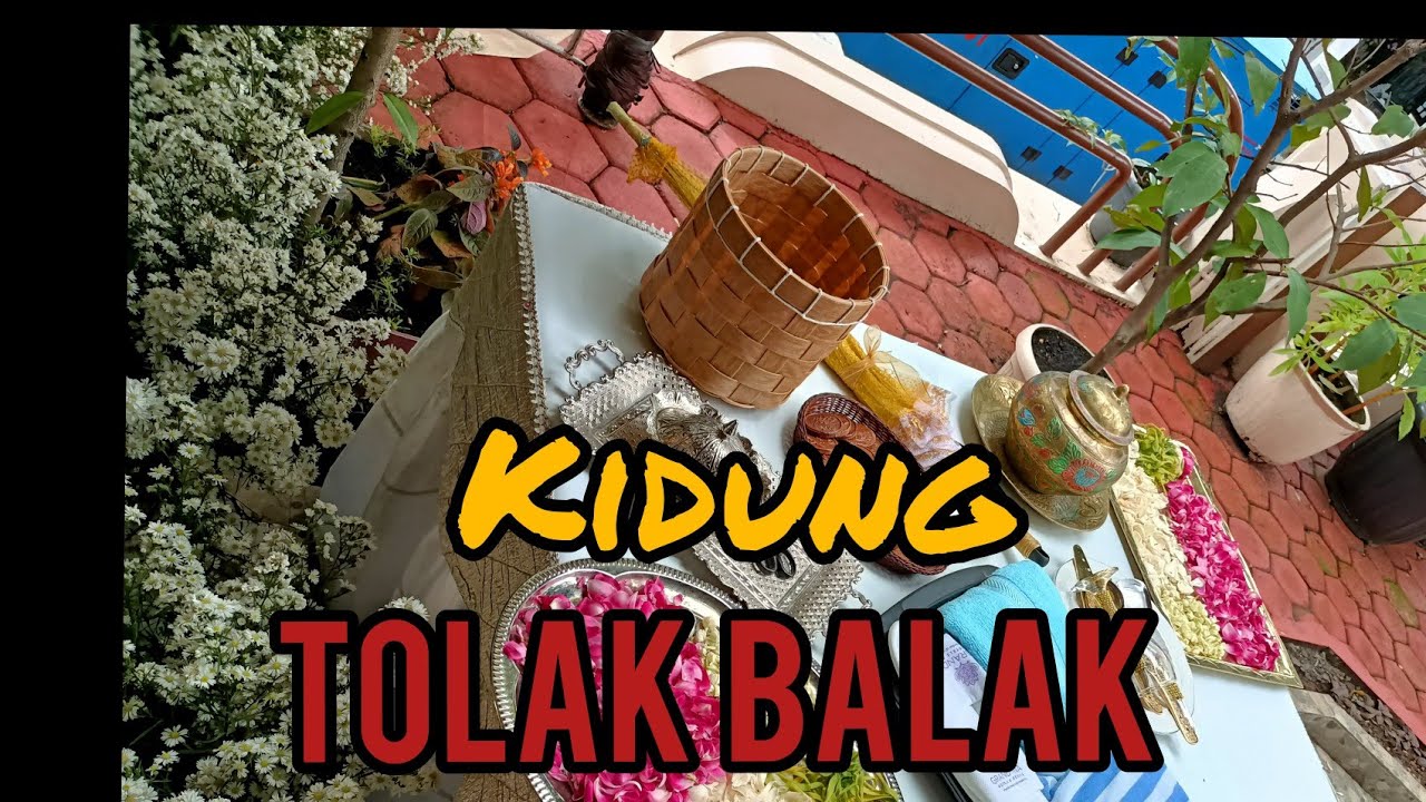 Pangkur SINGGAH - SINGGAH