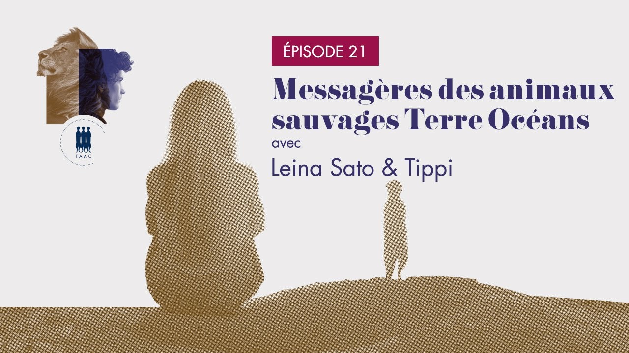 ÉPISODE 21/ Messagères des animaux sauvages Terre Océans - Leina Sato, Tippi
