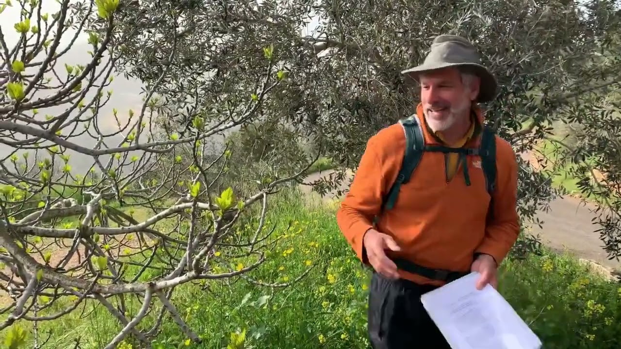 Holy Land 2019 - Dr. Jack Beck - 7 Native Species - The Fig Tree - Sataf