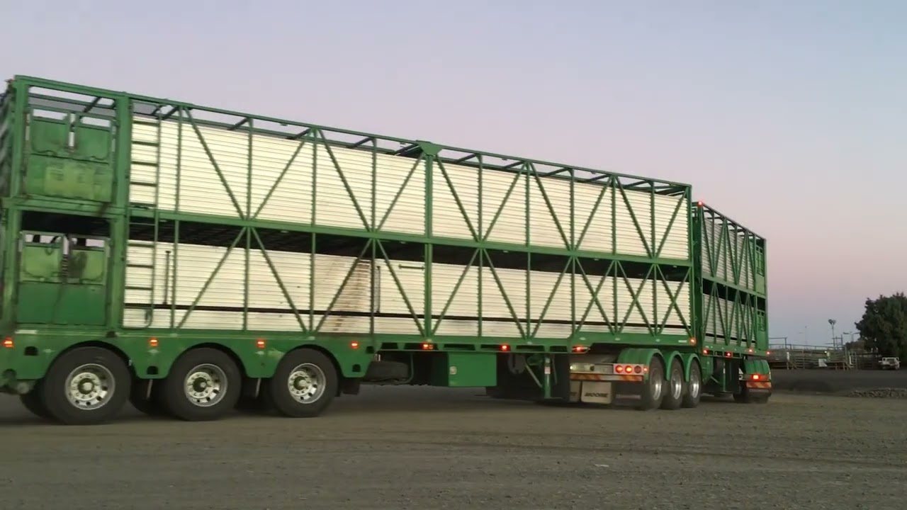 Shanahan Livestock Kenworth T909 Roma saleyards 2018.