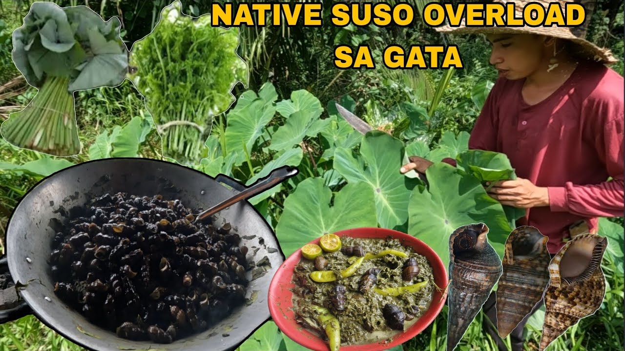 SPECIAL NA GINATAANG SUSO NA MAY LAING AT PAKO