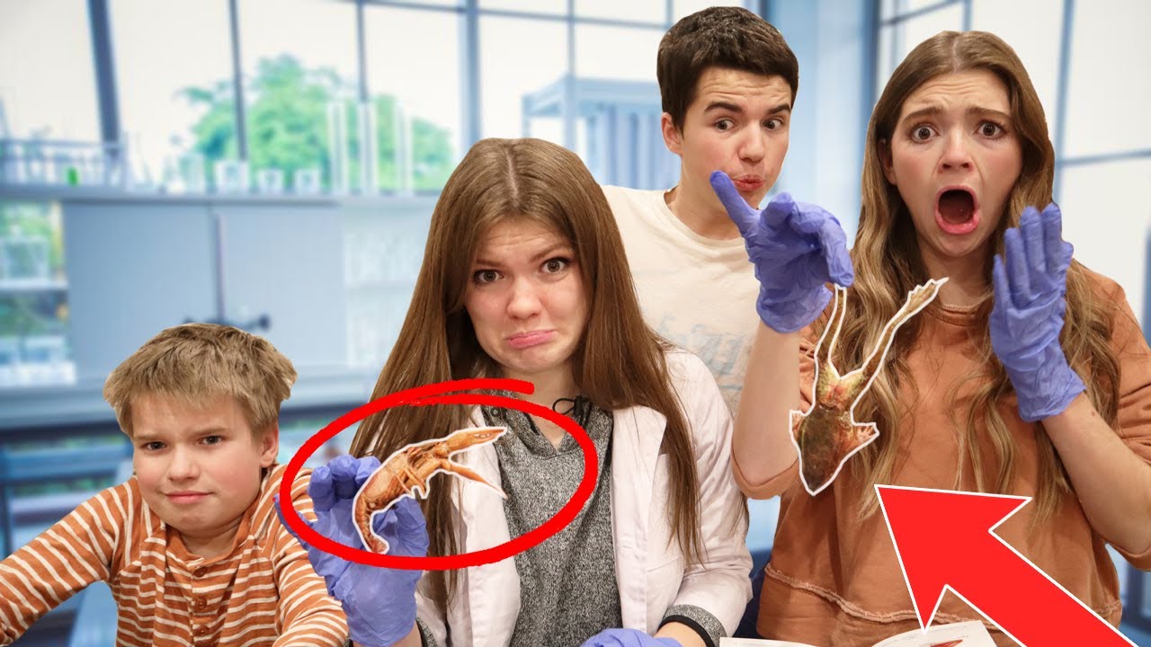 It's Science Time! Dissecting a Crab and Starfish!