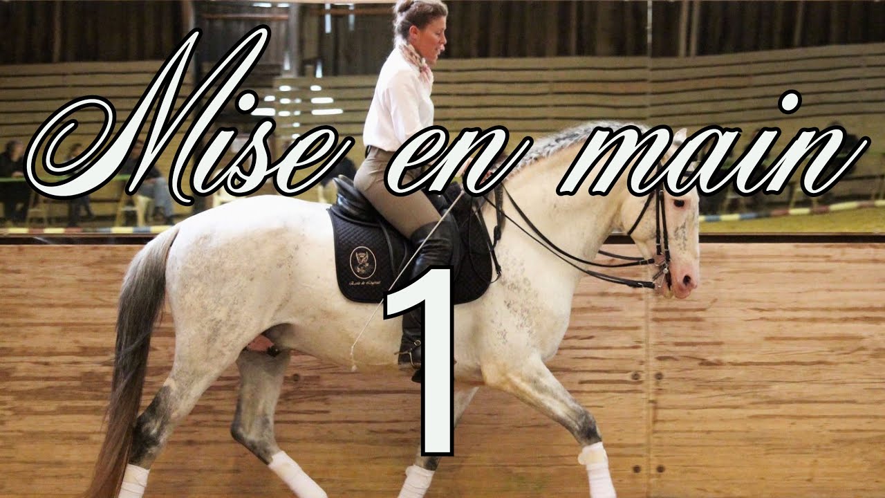 La mise en main selon l'école de légèreté pt 1