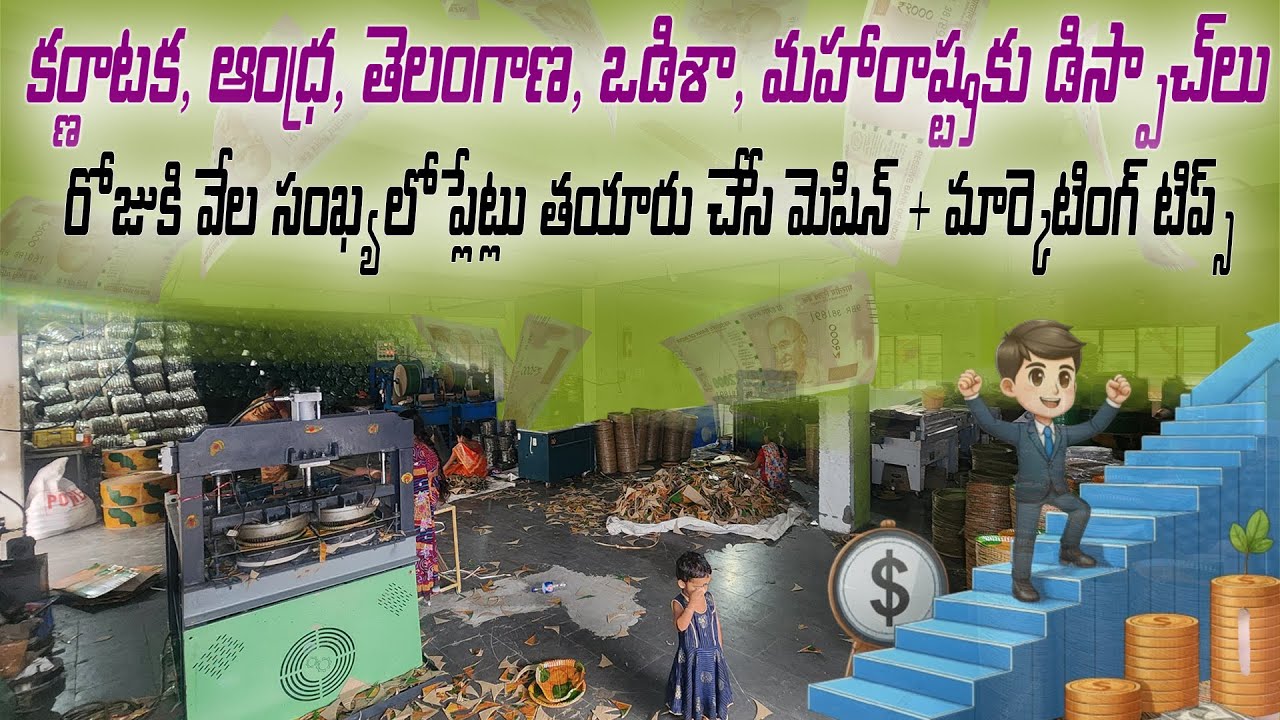 Don't Start a Paper plate Business Until You Watch This! Our 20-Year Guide to Starting This Business