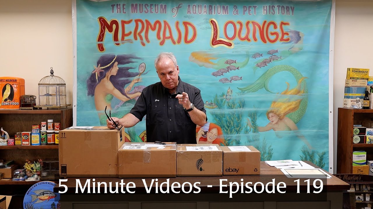 5 Minute Videos - Episode 119