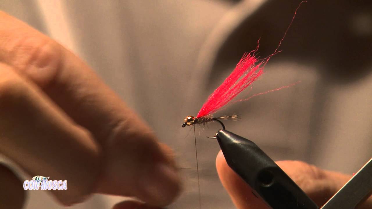 Ninfa de oreja de liebre con saco alar fluor