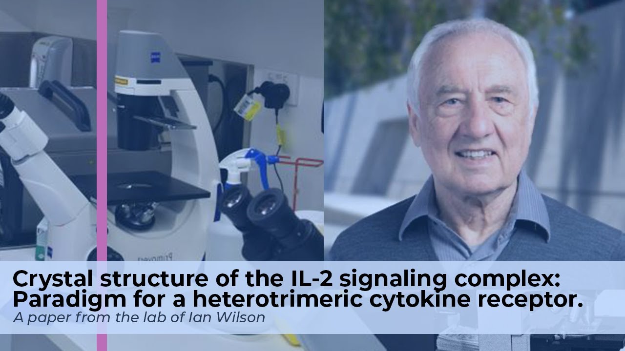 Crystal structure of the IL-2 signaling complex: Paradigm for a heterotrimeric cytokine receptor