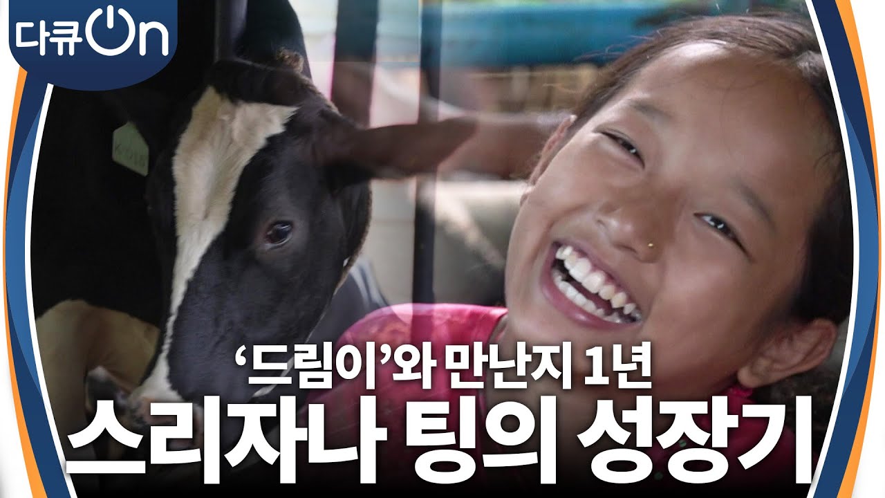 젖소 ‘드림이’와의 만남을 애타게 기다렸던 12살 소녀 스리자나 팅의 성장기 [다큐ON-Docu ON] | KBS 240316 방송