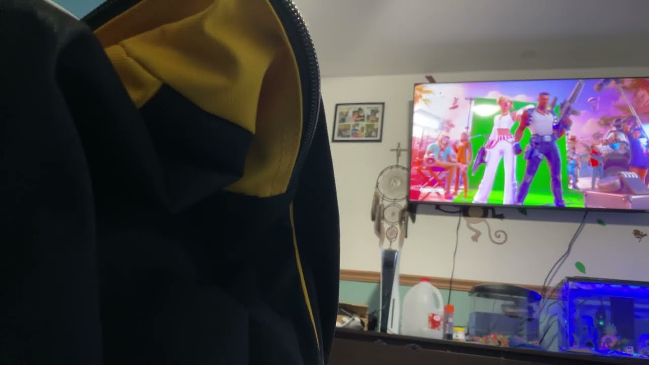 GOLD 2 SUB AND LIKE SO I CAN LIVE STREAM🔴