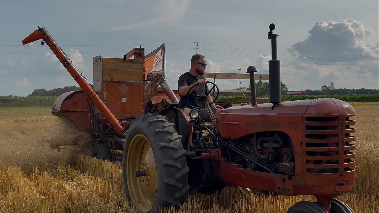 1948 Allis Chalmers All Crop 60 Harvesting Wheat for the First Time Since the 1960s.