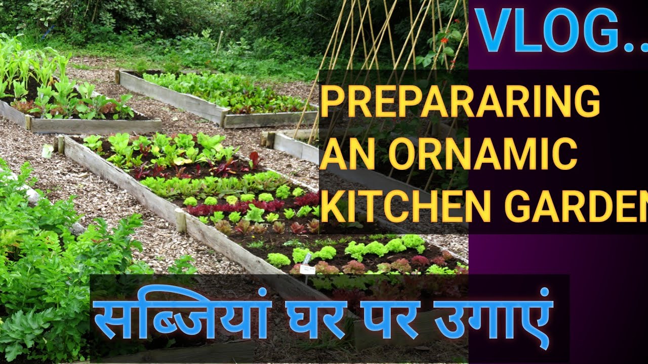 Organic Kitchen Garden preparation: growing vegetables as tomato, chilli, Brinjal & more #biodoors 