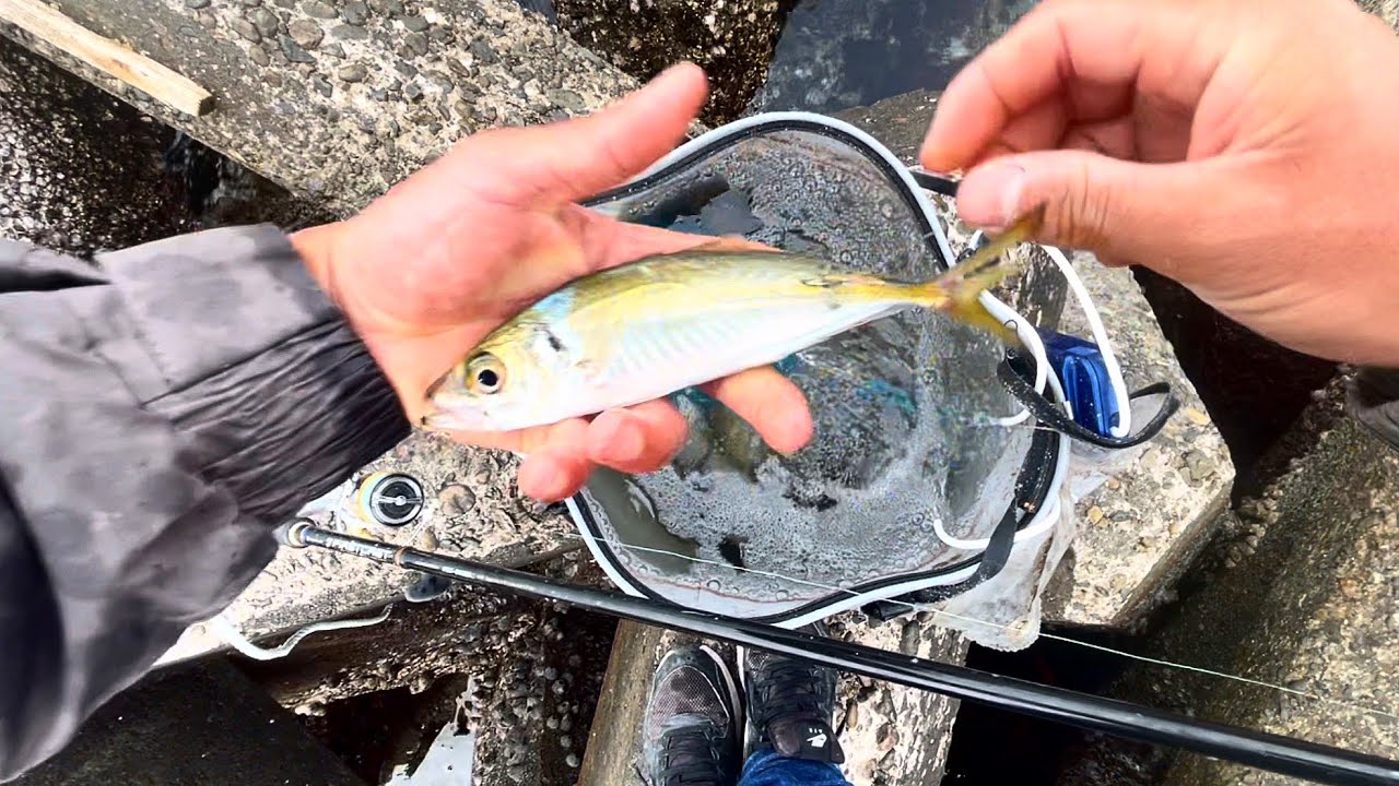 【衝撃】釣り開始5分で怪物来ました。