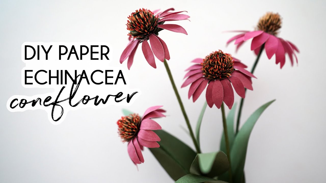 DIY Paper Echinacea Coneflower, how to craft paper flowers