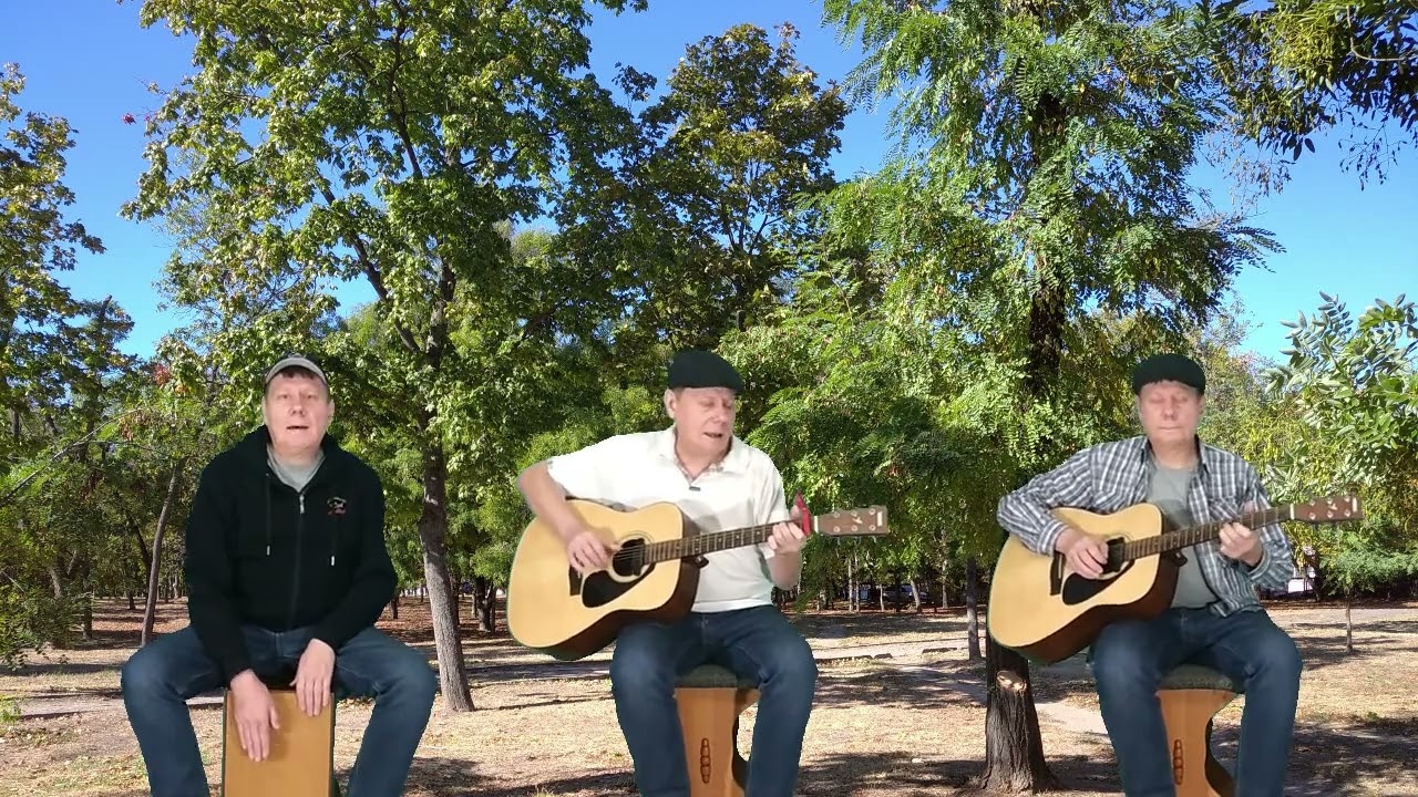 Полынь трава . Дворовая песня . Виртуальные братаны