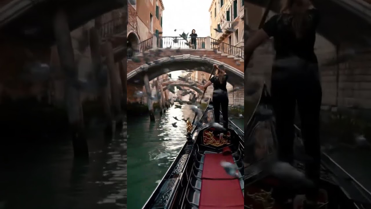 This 10 seconds in Venice is pure magic ✨