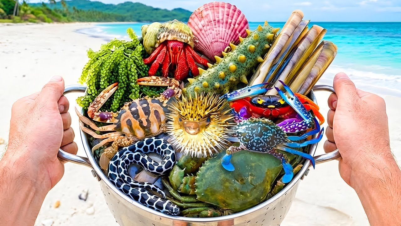 Ловля ядовитых морских змей 🐍, морских бритв 🐚, гигантских морских крабов 🦀, разноцветных рыб 🐠, ...