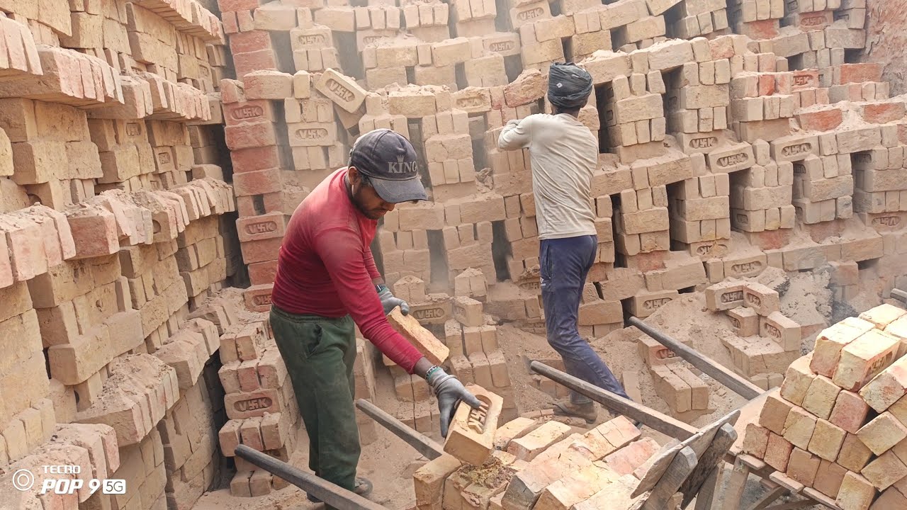 Bhatte ki nikasi  chalu hogyi 