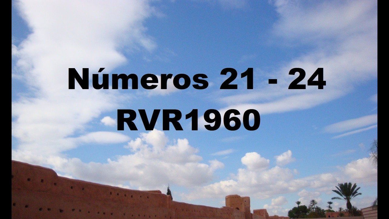 Numeros 21 - 24
