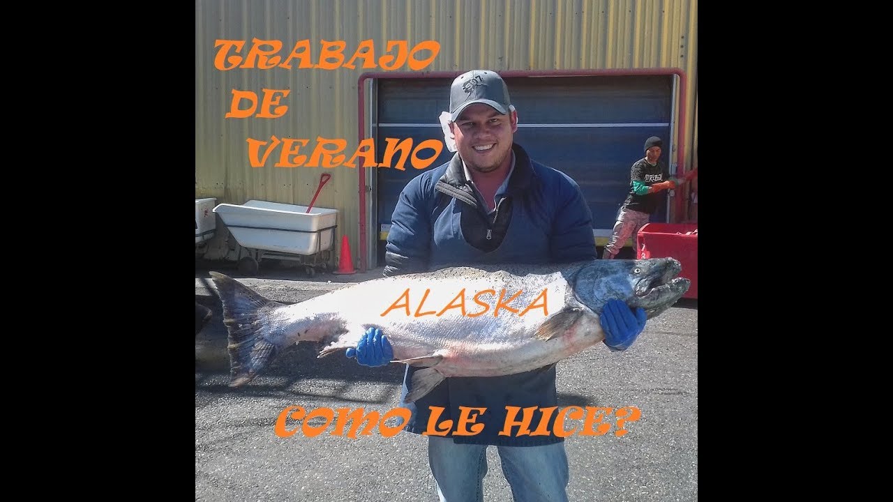 ALASKA 2018 Trabajo de Verano. Como le hice?