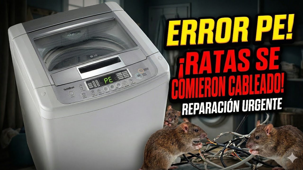 Cómo Reparar Error PE en Lavadora LG (Cables Mordidos por Ratas) 🛠️