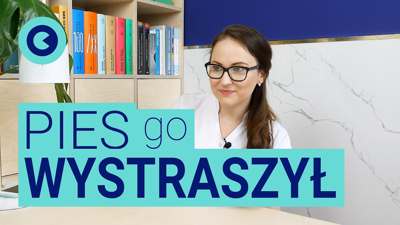 Pies go wystraszył | Fakty i mity o jąkaniu