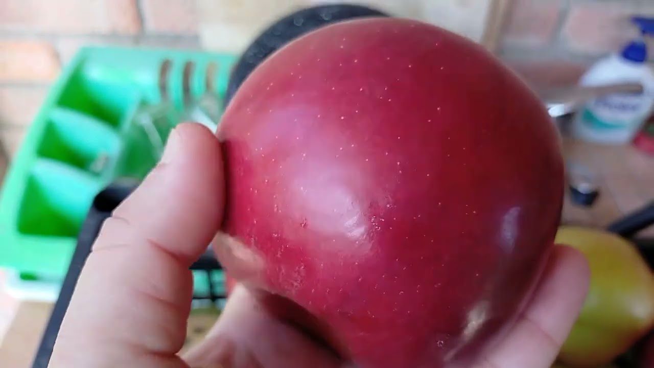 Azi am recoltat câteva soiuri de mere și pere