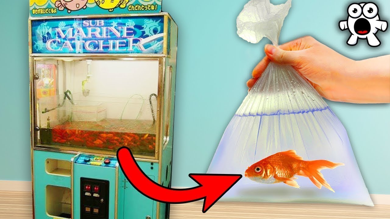काश ऐसी वेंडिंग मशीने पूरी दुनिया में होती |Vending Machines You'll Wish We Had More Of In The World