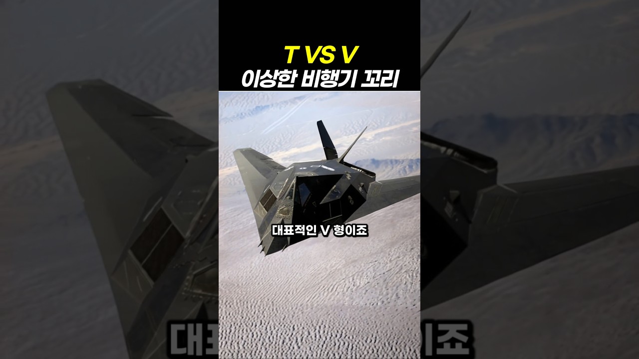 이상한 비행기 꼬리날개