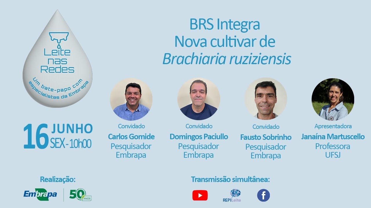 BRS INTEGRA NOVA CULTIVAR DE Brachiaria ruziziensis