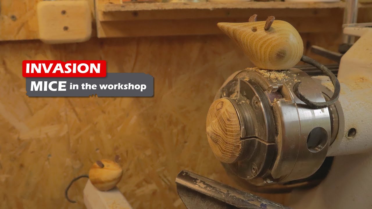 invasion! Mice in the workshop