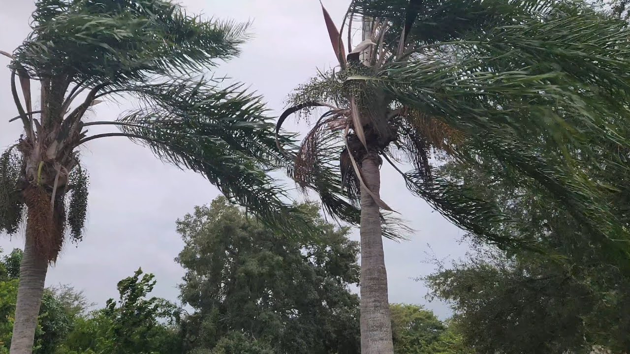 Hurricane Helene - Clermont, FL - 7:00 PM Update