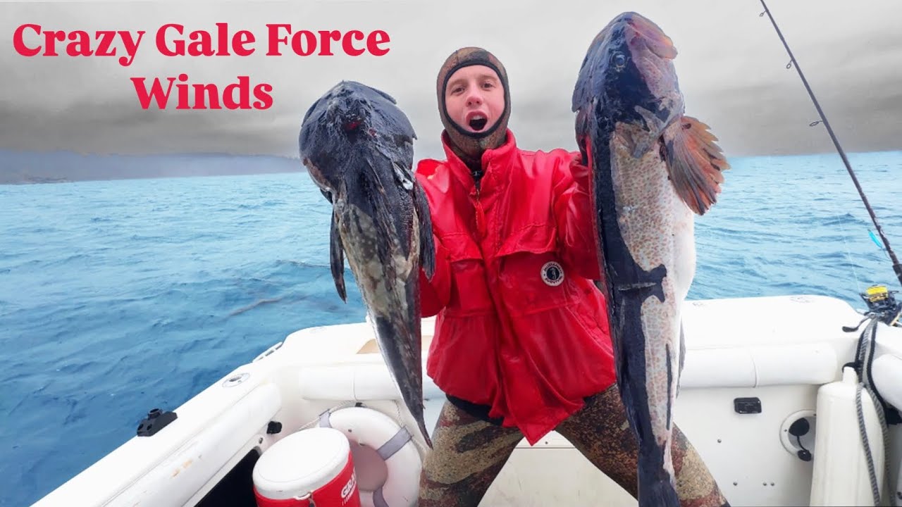 This is the Peak of Spearfishing on the Washington Coast