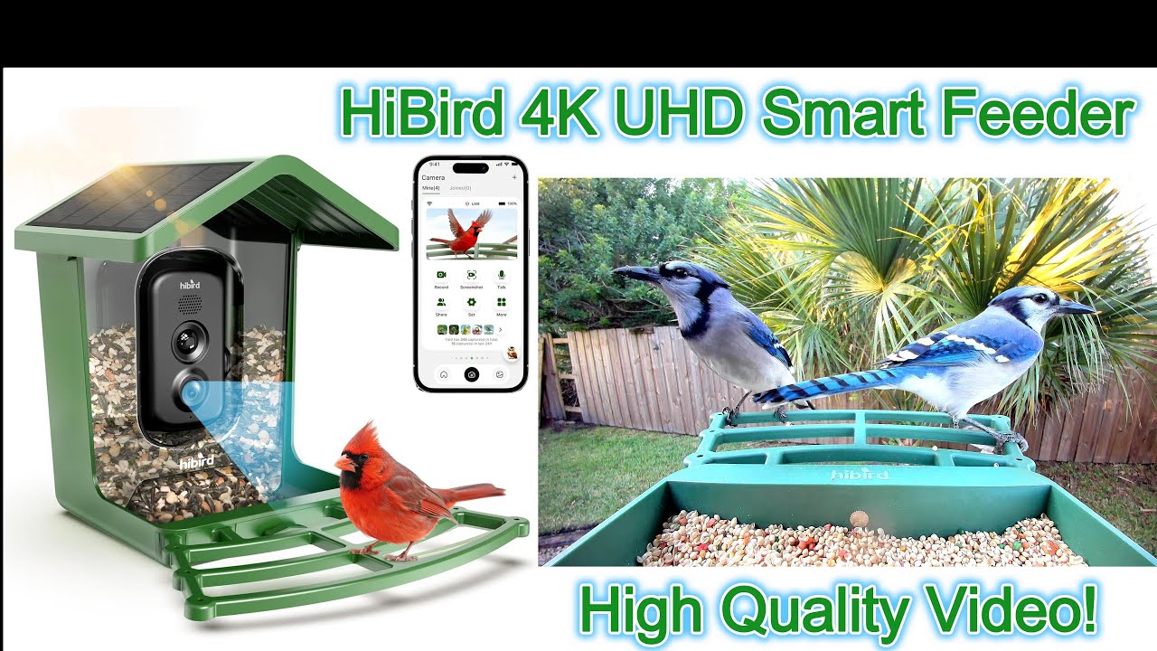 Обзор умной кормушки для птиц Hibird Pro 4K UHD на солнечной батарее с двумя Wi-Fi