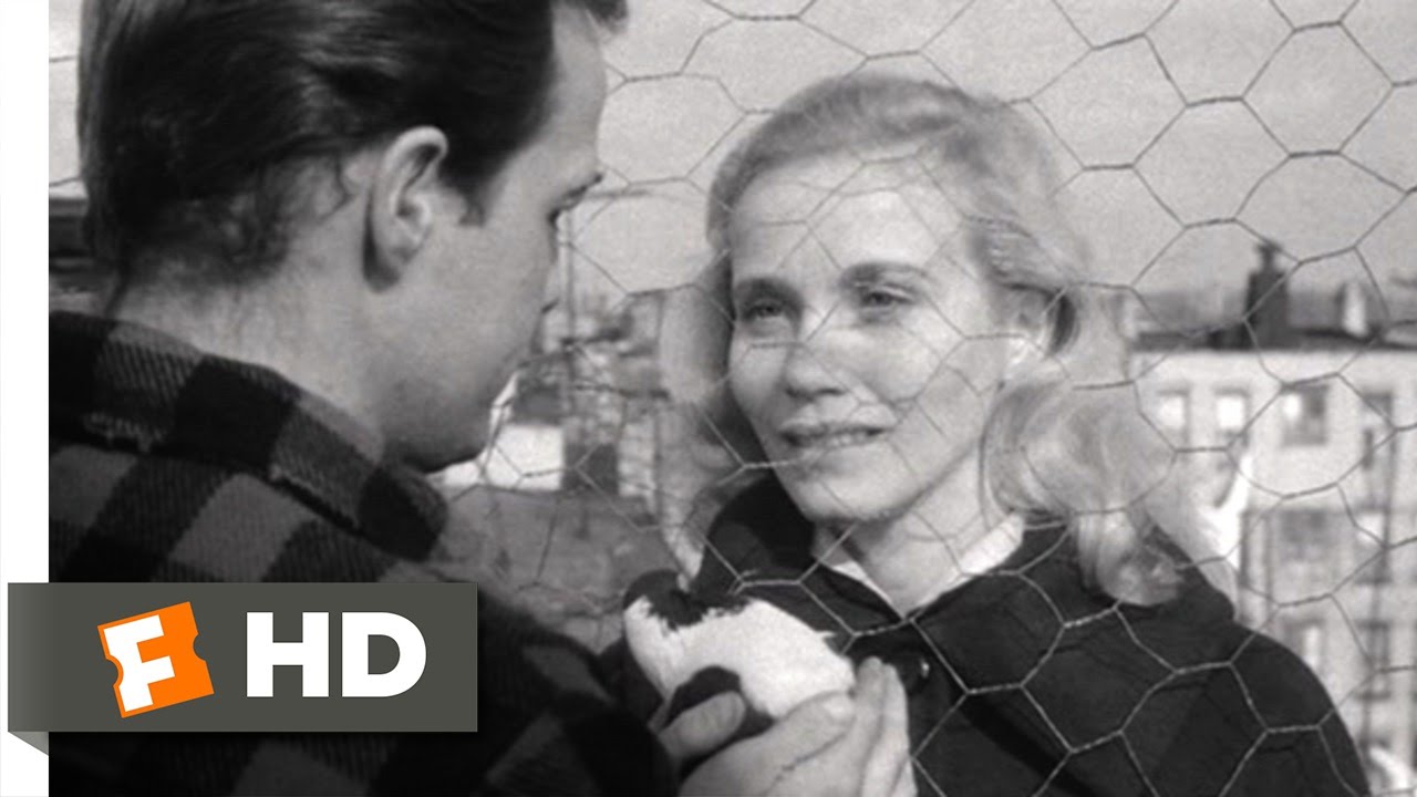 On the Waterfront (3/8) Movie CLIP - Terry Asks Edie Out (1954) HD