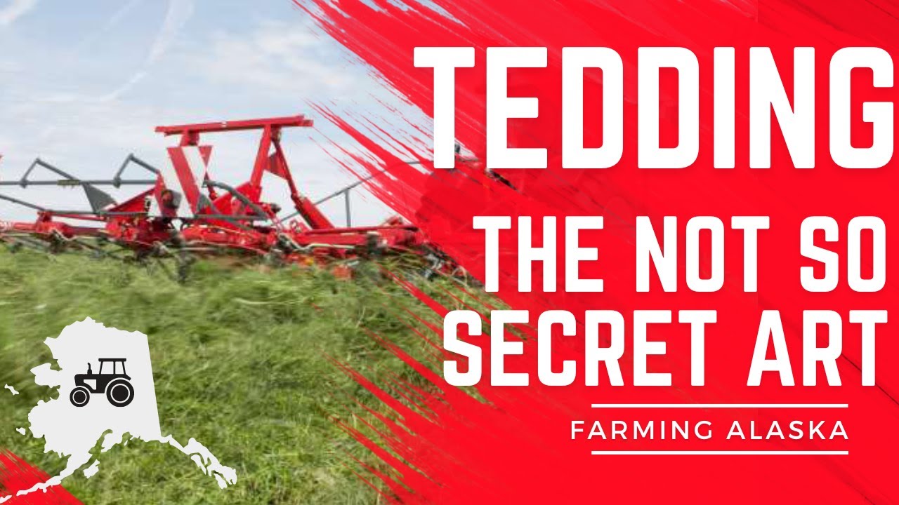 Tedding hay. The whys and hows.