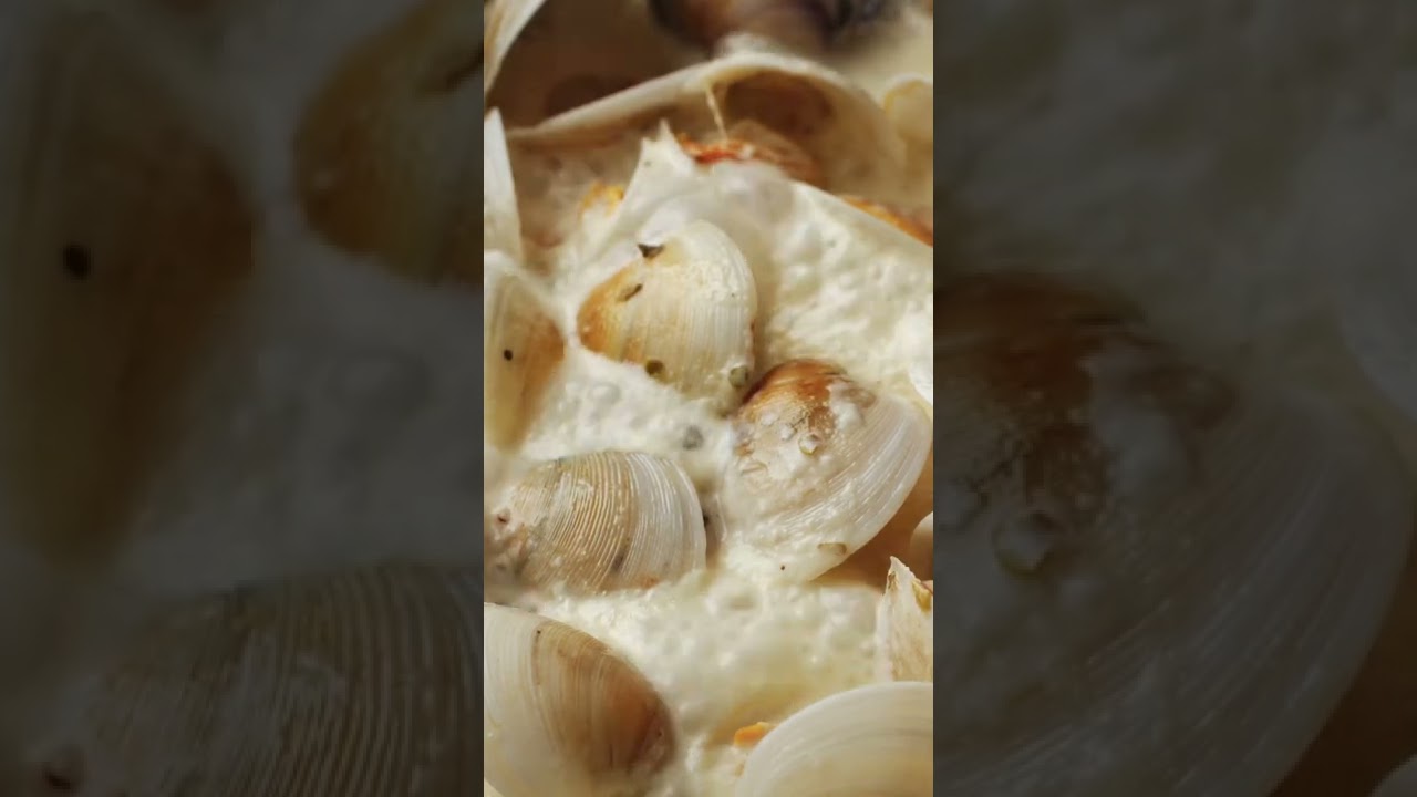 Cream Clam Source Cooking #Clam #Source #Cooking