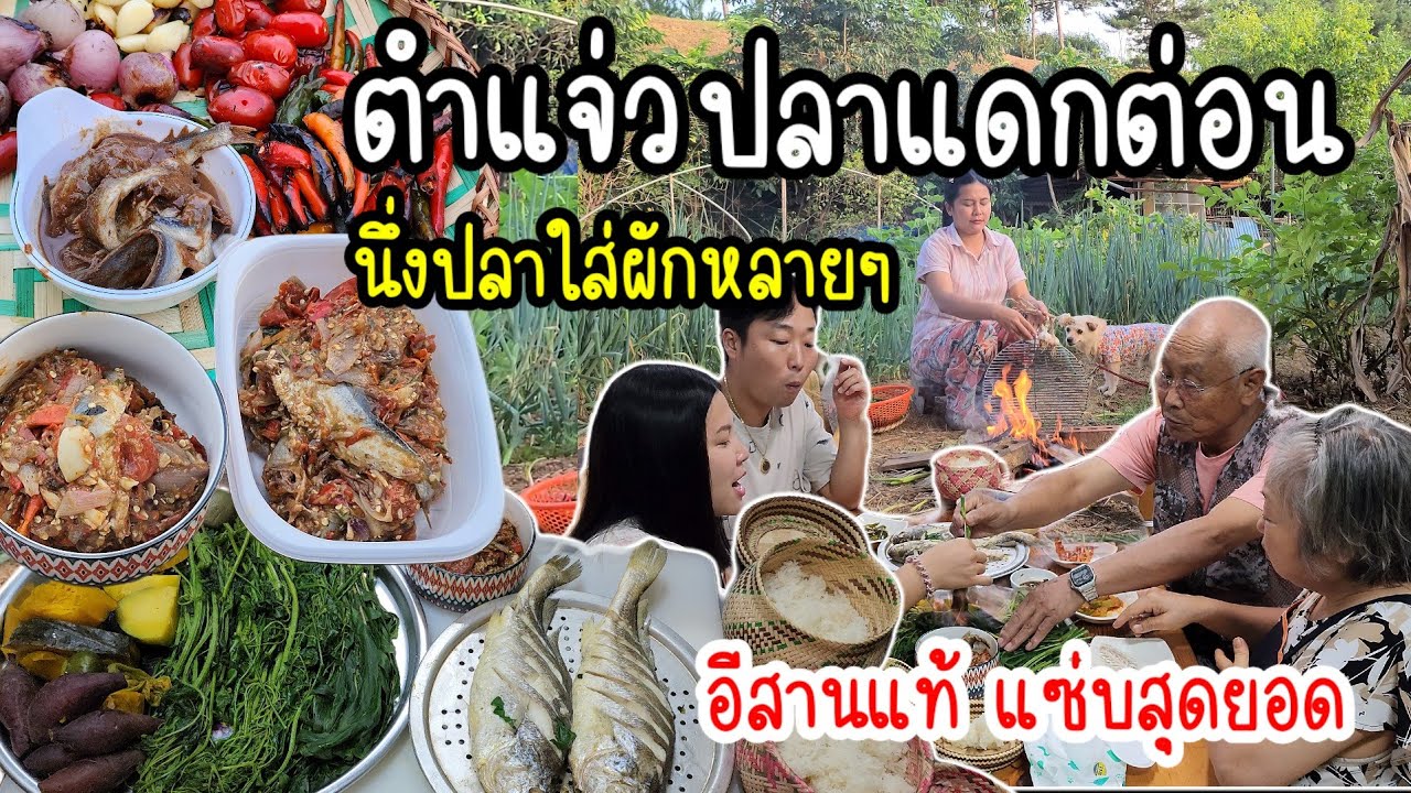 EP.803 อากาศเริ่มเย็นนึกอยากกิน ตำแจ่วต่อนปลาแดก นึ่งปลาใส่ผักหลายๆ มีแต่ผู้กินเก่งๆ