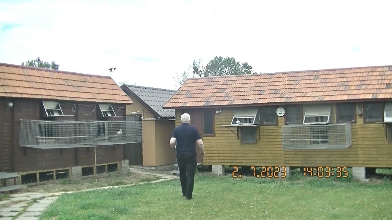 Lot 10/23  Zarrentin 1 (806 km)