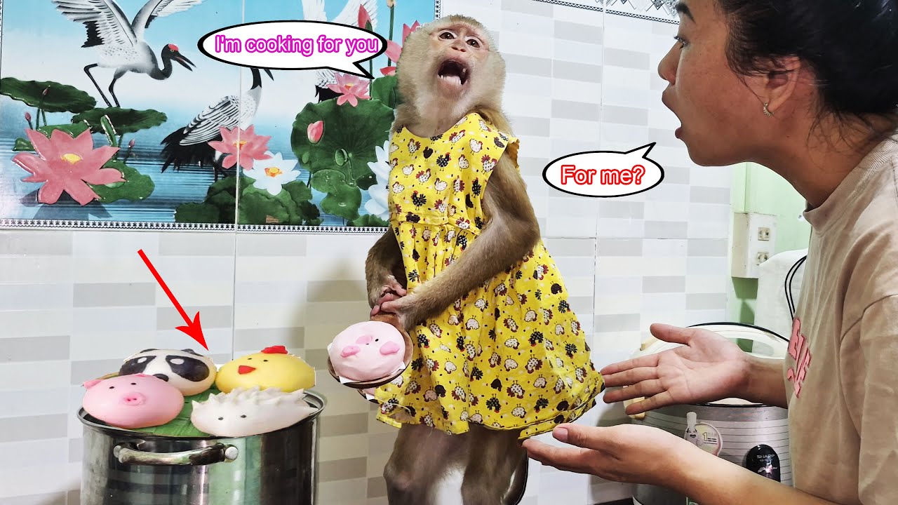 How filial! Monkey Lyly tried to prepare a meal for her mother when she was busy.