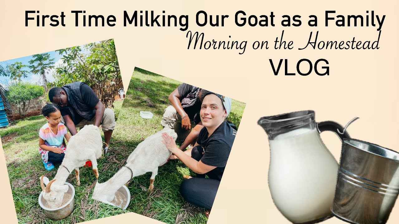Simple Farm Life in Kenya || Goat Milking Lesson  || Family || VLOG