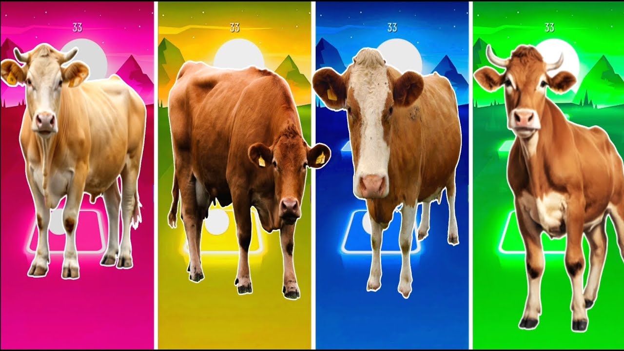 Funny Cow🐎🆚The Funny Buffalo🆚Funny The Cow🆚Funny Bull Tiles The Hop EDM Rush #tileshop​ #coffindance