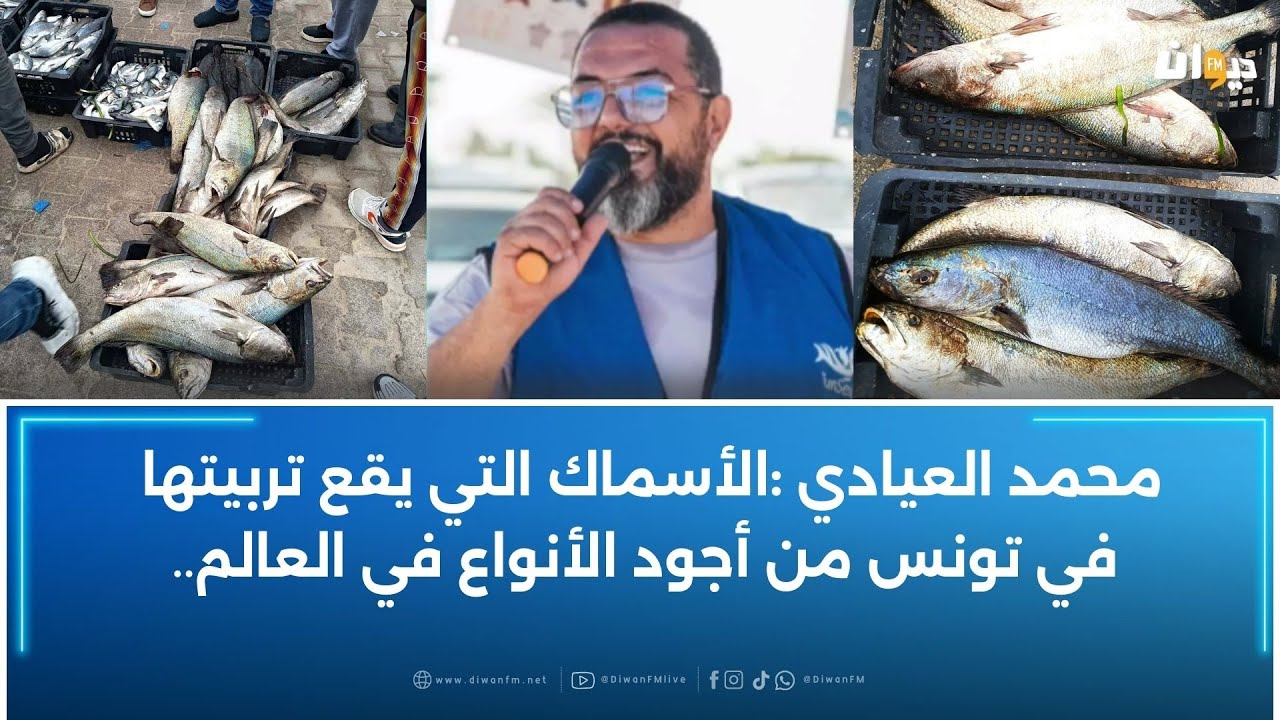 تسبّبت فيه العاصفة الأخيرة: هل اختلاط الأسماك التي وقع تربيتها مع البحرية يسبب تلوثا جينيا؟