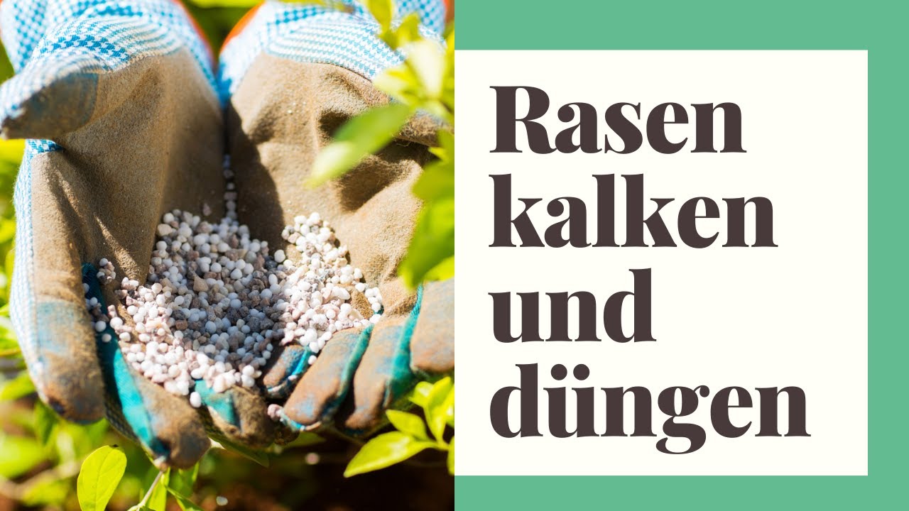 Rasen kalken und düngen: Das müssen Sie beachten