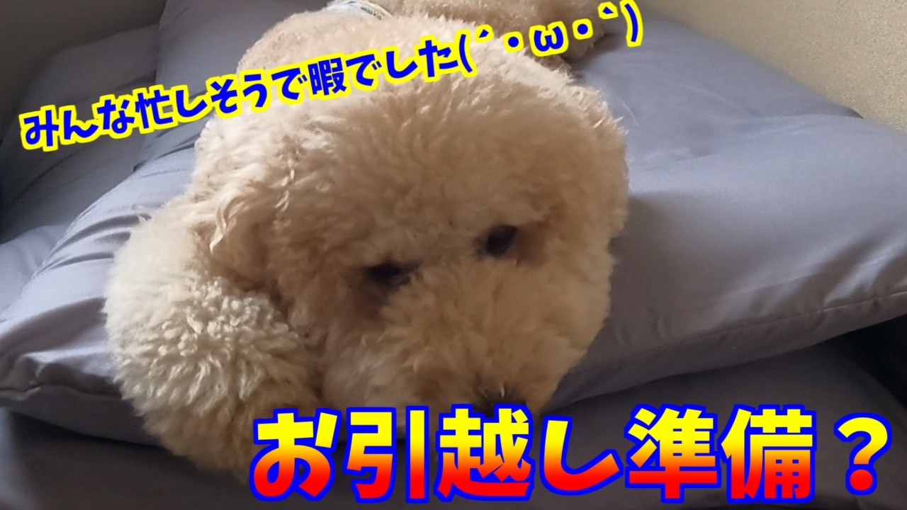 引っ越し準備