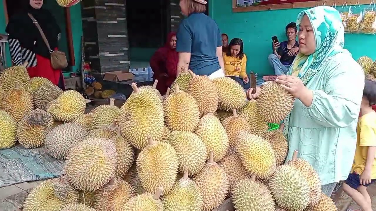 Kampung Durian Trawas, harga bersahabat bergaransi