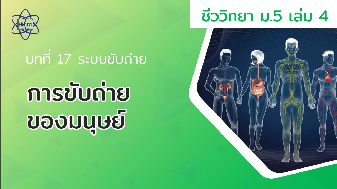 การขับถ่ายของมนุษย์ (ชีววิทยา ม.5 เล่ม 4 บทที่ 17)