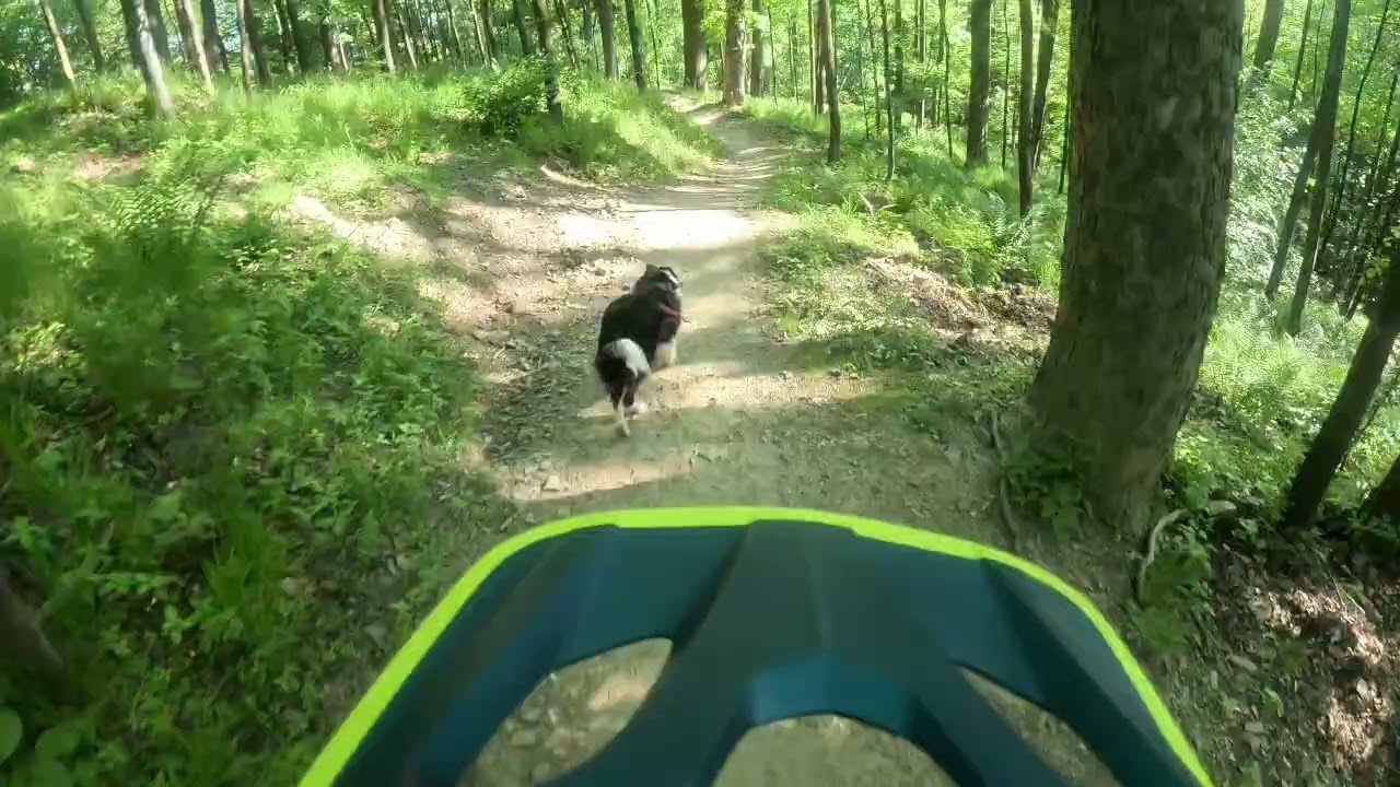 Lusia na Koziej