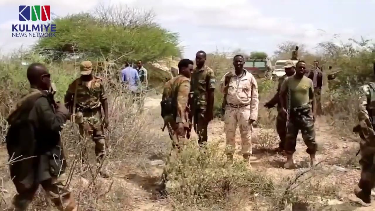 WARARKII UGU DAMBEEYAY CIIDAMADA DAWLADDA OO ISKAGA BAXAY DAYNUUNAY IYO AS OO LA WAREEGAY